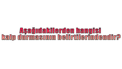 Aşağıdakilerden hangisi kalp durmasının belirtilerindendir?