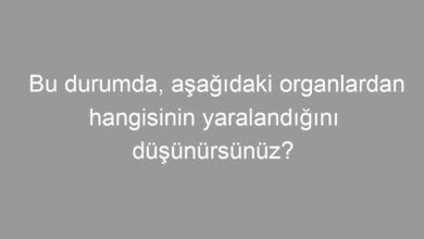 İlk yardımcı olarak bulunduğunuz bir kaza yerinde, kazazedelerden birinin öksürme ile ağzından açık kırmızı renkte, köpüklü kan geldiğini gözlemlediniz. Bu durumda, aşağıdaki organlardan hangisinin yaralandığını düşünürsünüz?