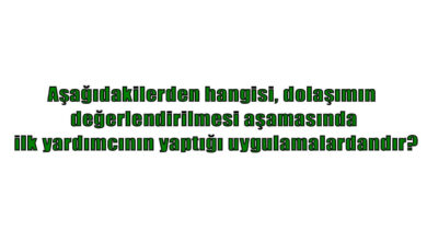 İlk yardımın ABC'si olarak kabul edilen uygulamalardan "C" dolaşımın değerlendirilmesini ifade etmektedir. Aşağıdakilerden hangisi, dolaşımın değerlendirilmesi aşamasında ilk yardımcının yaptığı uygulamalardandır?