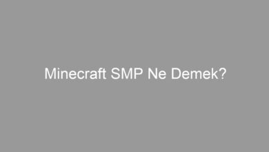 Minecraft SMP Ne Demek?