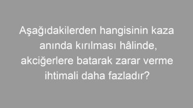 Aşağıdakilerden hangisinin kaza anında kırılması hâlinde, akciğerlere batarak zarar verme ihtimali daha fazladır?