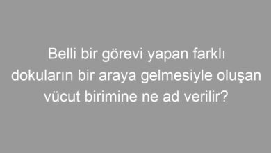 Belli bir görevi yapan farklı dokuların bir araya gelmesiyle oluşan vücut birimine ne ad verilir?