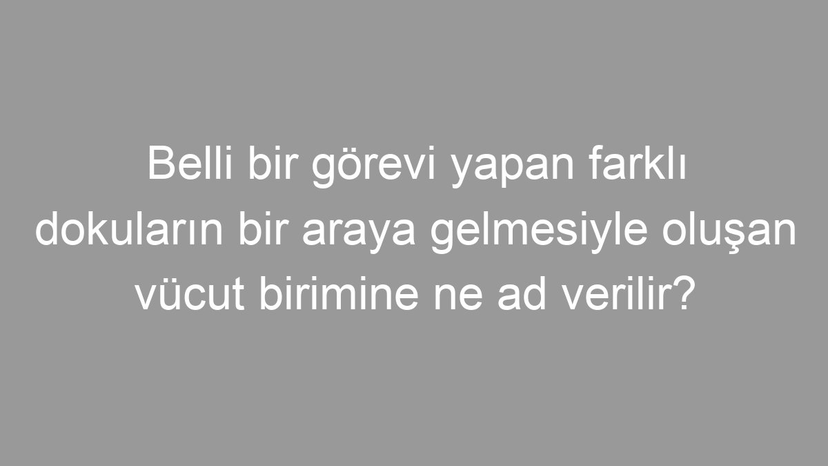 Belli bir görevi yapan farklı dokuların bir araya gelmesiyle oluşan vücut birimine ne ad verilir?