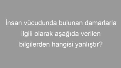 İnsan vücudunda bulunan damarlarla ilgili olarak aşağıda verilen bilgilerden hangisi yanlıştır?