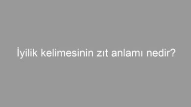 İyilik kelimesinin zıt anlamı nedir?