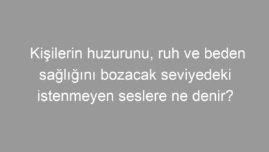 Kişilerin huzurunu, ruh ve beden sağlığını bozacak seviyedeki istenmeyen seslere ne denir?