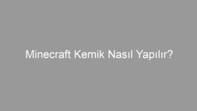 Minecraft Kemik Nasıl Yapılır?