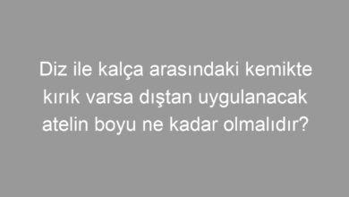 Diz ile kalça arasındaki kemikte kırık varsa dıştan uygulanacak atelin boyu ne kadar olmalıdır?