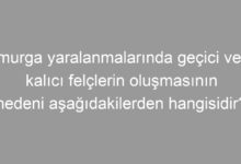 Omurga yaralanmalarında geçici veya kalıcı felçlerin oluşmasının nedeni aşağıdakilerden hangisidir?