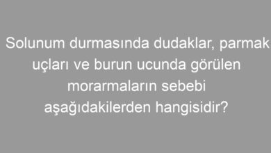 Solunum durmasında dudaklar, parmak uçları ve burun ucunda görülen morarmaların sebebi aşağıdakilerden hangisidir?